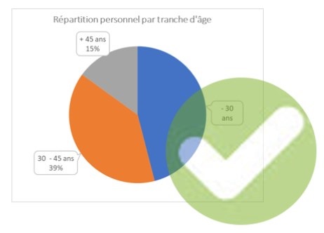 Excel formation - video comment choisir les meilleurs graphiques