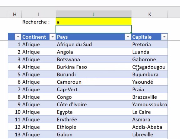 Excel formation - video comment ajouter la saisie semi automatique  votre moteur de recherche excel