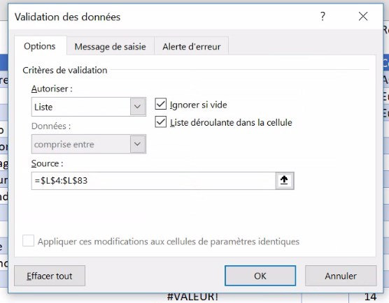 Excel formation - video comment ajouter la saisie semi automatique  votre moteur de recherche excel