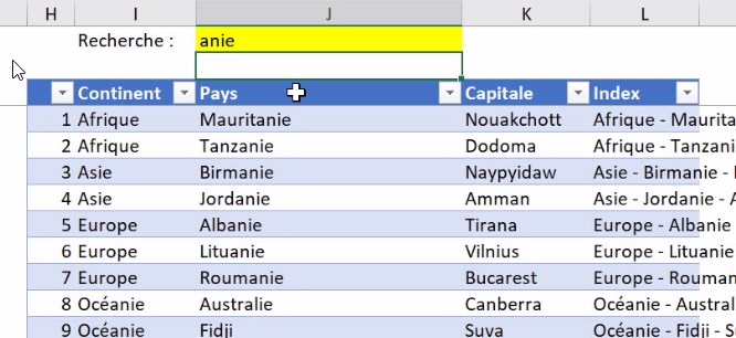 Excel formation - video comment ajouter la saisie semi automatique  votre moteur de recherche excel