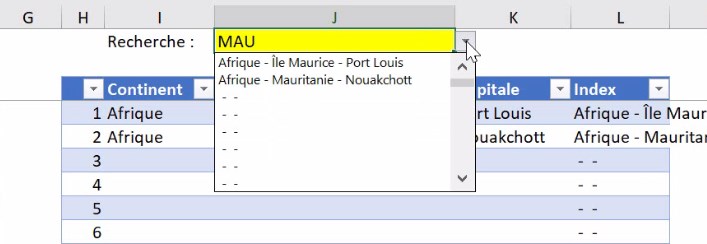 Excel formation - video comment ajouter la saisie semi automatique  votre moteur de recherche excel