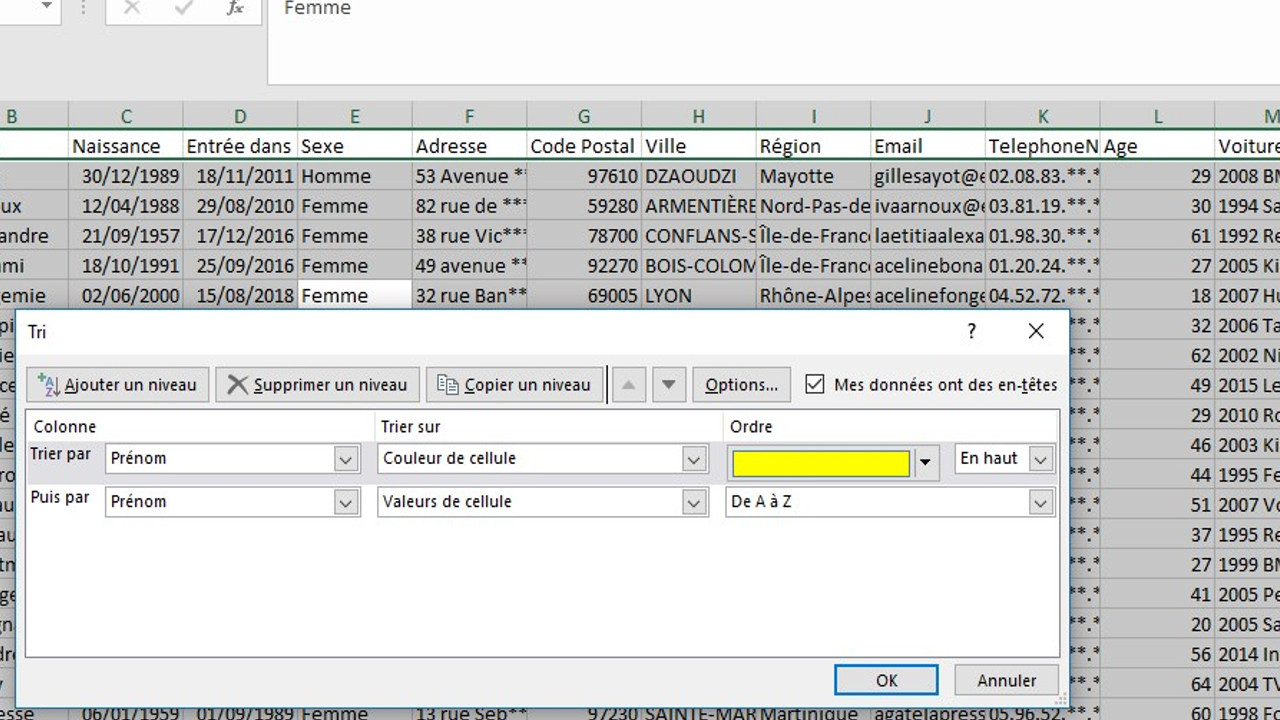 Comment analyser des données avec Excel (Tri, Filtre, Filtre élaboré, tableaux croisés dynamiques)
