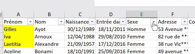 Excel formation - comment analyser des donnees avec excel tri filtre filtre elabore tableaux croises dynamiques