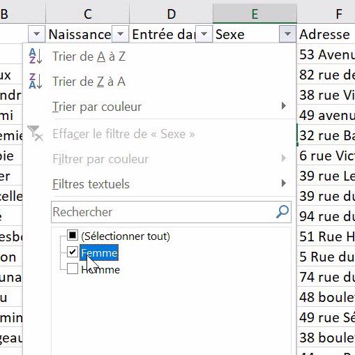 Excel formation - comment analyser des donnees avec excel tri filtre filtre elabore tableaux croises dynamiques