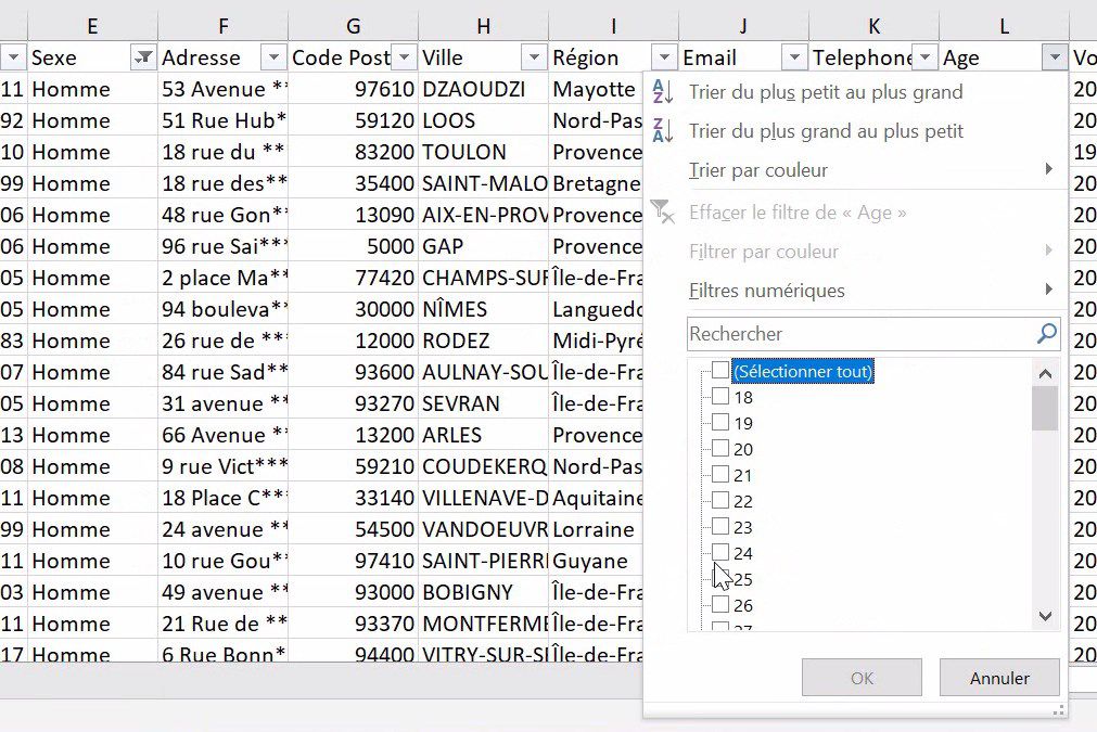 Excel formation - comment analyser des donnees avec excel tri filtre filtre elabore tableaux croises dynamiques