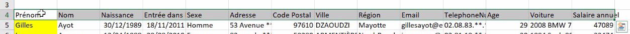 Excel formation - comment analyser des donnees avec excel tri filtre filtre elabore tableaux croises dynamiques