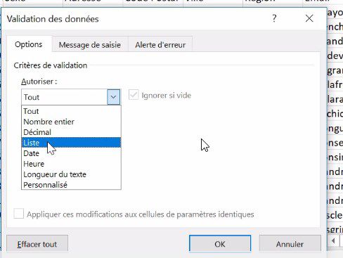 Excel formation - comment analyser des donnees avec excel tri filtre filtre elabore tableaux croises dynamiques