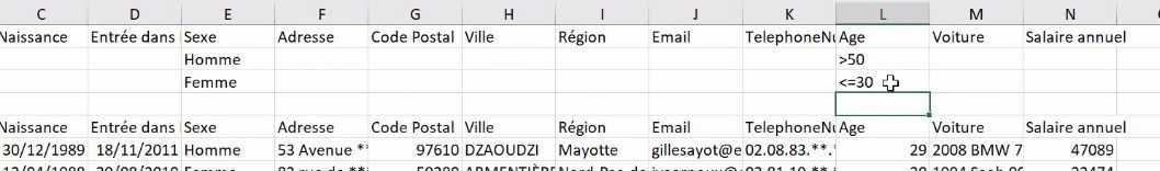 Excel formation - comment analyser des donnees avec excel tri filtre filtre elabore tableaux croises dynamiques