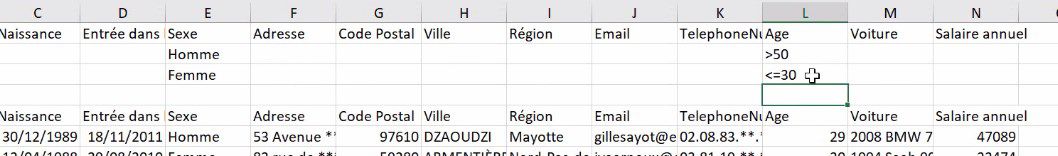 Excel formation - comment analyser des donnees avec excel tri filtre filtre elabore tableaux croises dynamiques