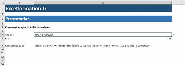 Excel formation - Ajuster la taille de cellule - 17