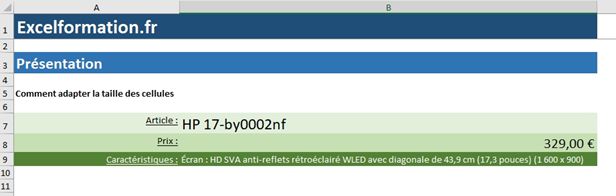 Excel formation - Ajuster la taille de cellule - 27