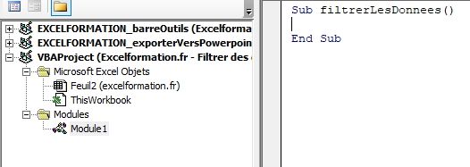 Excel formation - Filtrer données en VBA - 06