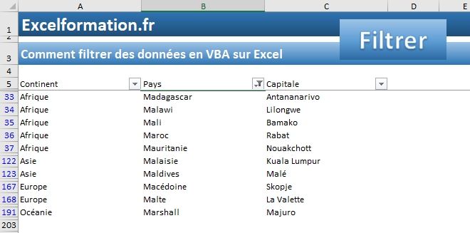 Excel formation - Filtrer données en VBA - 11