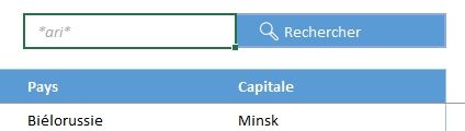 Excel formation - moteur de recherche 2 fonctions - 19