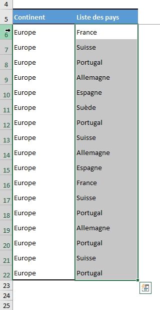 Excel formation - Identifier les doublons - 02