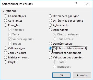 Excel formation - Sélection cellules visibles - 07