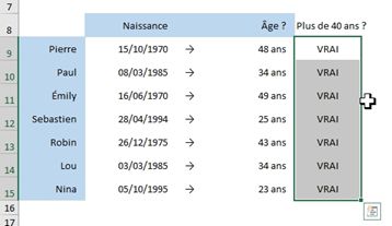 Excel formation - Dates05 Calcule d'age et d ancienneté sur Excel - 09