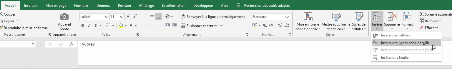 Excel formation - Comment ajouter ou supprimer des lignes - 02