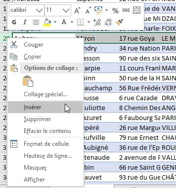 Excel formation - Comment ajouter ou supprimer des lignes - 04