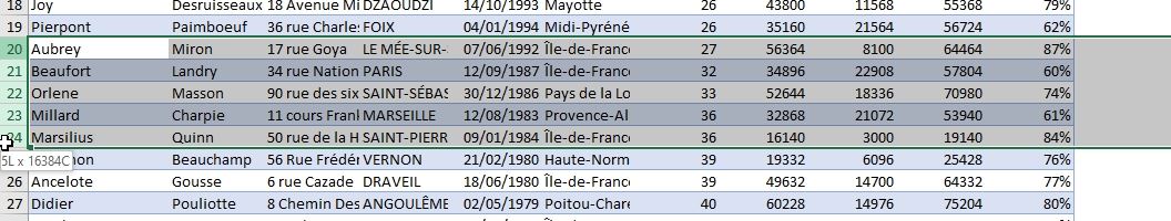 Excel formation - Comment ajouter ou supprimer des lignes - 06