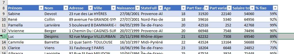 Excel formation - Comment ajouter ou supprimer des lignes - 08