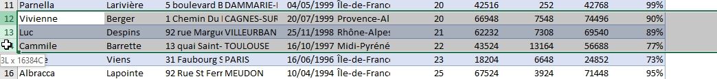 Excel formation - Comment ajouter ou supprimer des lignes - 12