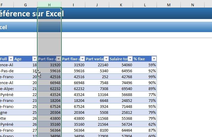 Excel formation - Comment ajouter ou supprimer des lignes - 17