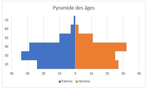 Excel formation - pyramide des âges - 10