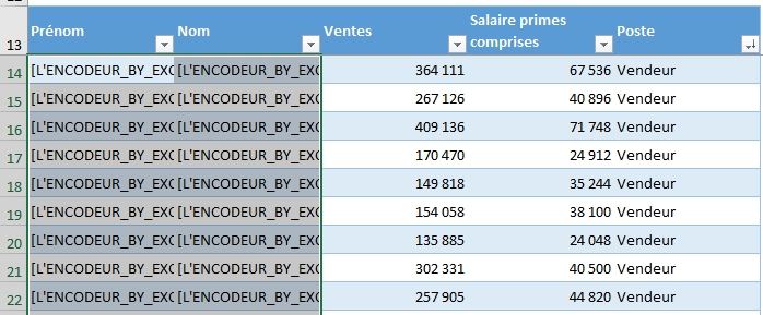 Excel formation - Présentation L'encodeur - 06