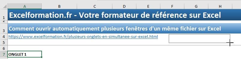 Excel formation - Afficher automatiquement deux fenêtres - 09