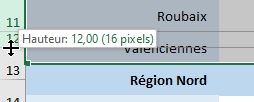 Excel formation - Afficher ou masquer des lignes sur Excel - 04