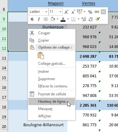 Excel formation - Afficher ou masquer des lignes sur Excel - 07