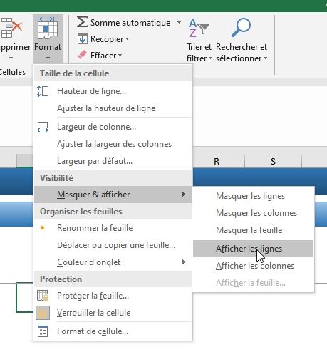 Excel formation - Afficher ou masquer des lignes sur Excel - 17