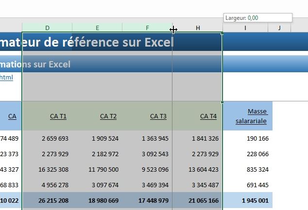 Excel formation - Afficher ou masquer des lignes sur Excel - 19