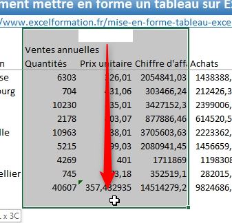 Excel formation - Comment mettre en forme un tableau - 07