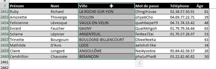 Excel formation - supprimer ligne - 06