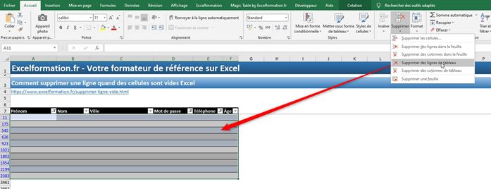 Excel formation - supprimer ligne - 20