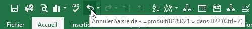 Excel formation - annuler des bêtises - 05