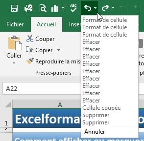 Excel formation - annuler des bêtises - 07