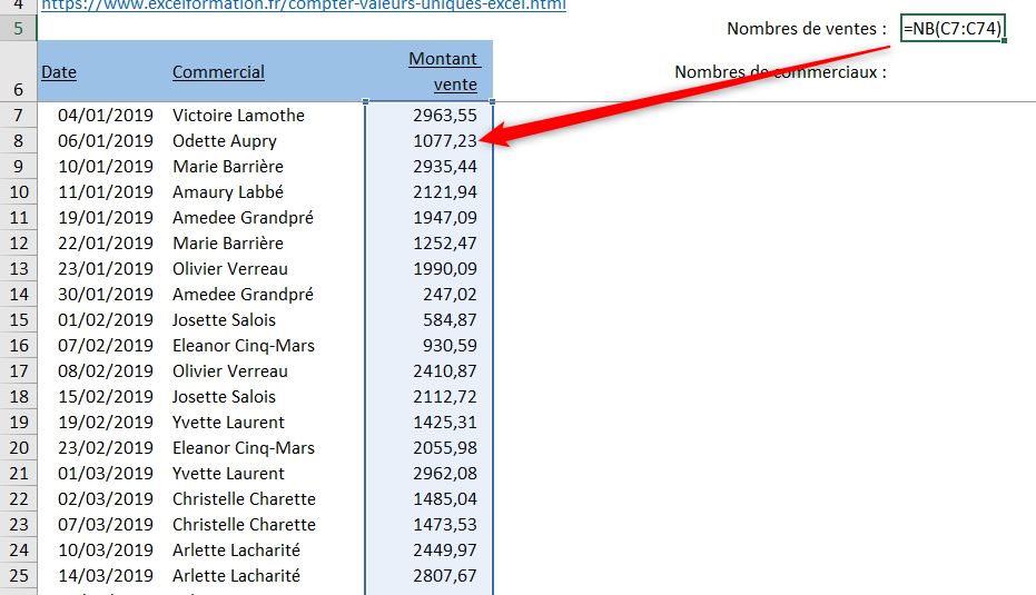 Excel formation - Compter les valeurs uniques - 03