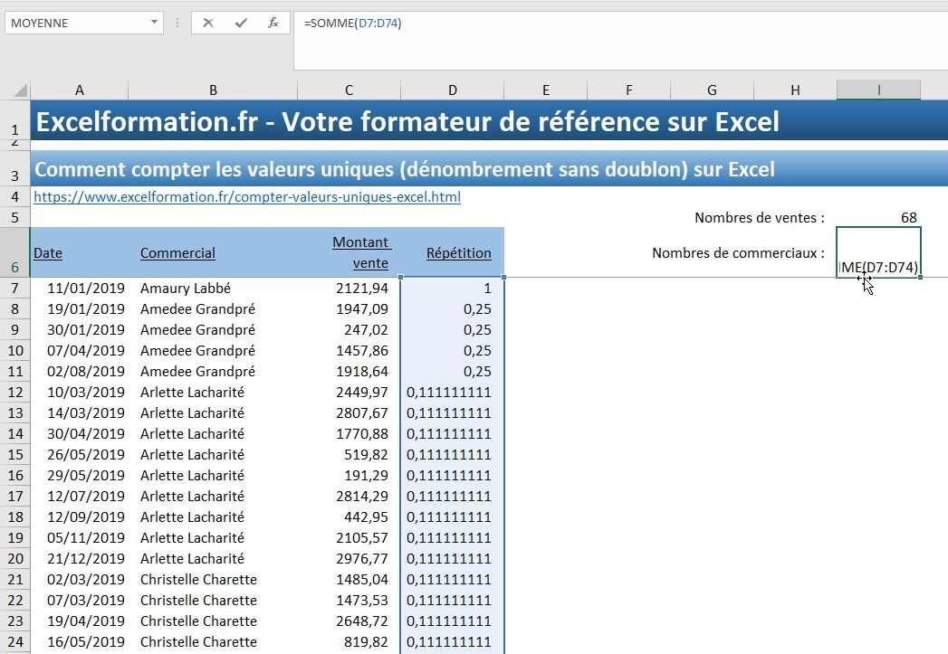 Excel formation - Compter les valeurs uniques - 12