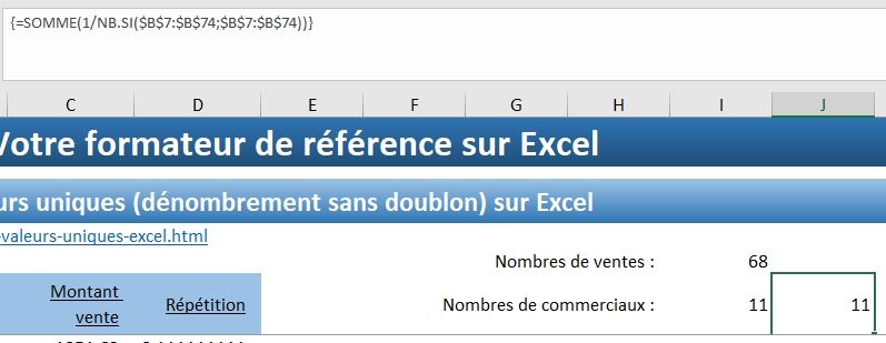 Excel formation - Compter les valeurs uniques - 14