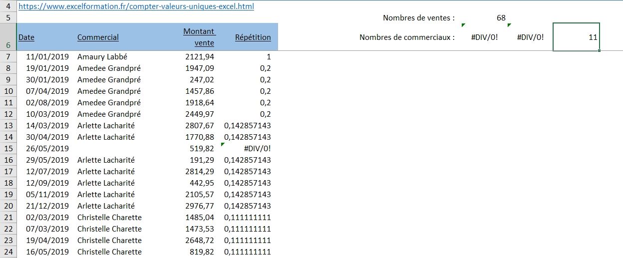 Excel formation - Compter les valeurs uniques - 18