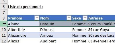 Excel formation - fractionner et figer des volets excel - 01