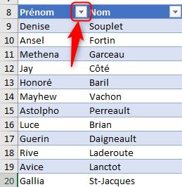 Excel formation - tri et filtre tableau de données excel - 05