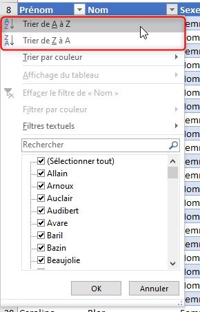 Excel formation - tri et filtre tableau de données excel - 06