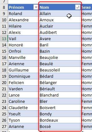 Excel formation - tri et filtre tableau de données excel - 07