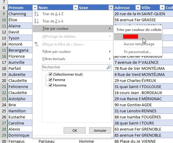 Excel formation - tri et filtre tableau de données excel - 12