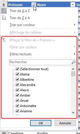 Excel formation - tri et filtre tableau de données excel - 16