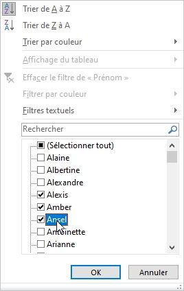 Excel formation - tri et filtre tableau de données excel - 18